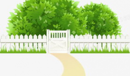 花园动漫,绽放青春的动漫世界